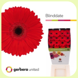 Gerbera Diamond Blinddate *15 - Emadepäev 2026
