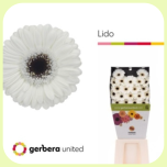 Germini Diamond Lido *20 - Emadepäev 2026