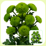 Chrysa Santini Peptalk - Emadepäev 2026