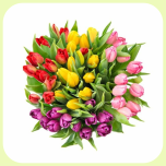 Tulp si MIX *10pk - Emadepäev 2026