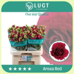 Eustoma Preeriakell Arosa Red *40 - Emadepäev 2026