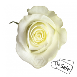 R GR CANDLELIGHT 70CM (ALE)