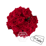 R TR BS ARIES 40CM (ALE)