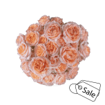 R TR FIBONACCI AUREUS 40CM (ALE)