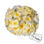 R TR NEW MOON 40CM (ALE)