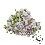 R TR SILVER MIKADO 40CM (ALE)