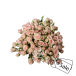 R TR BS VELA 40CM (ALE)