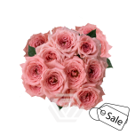 R TR CANDY JEWEL 40CM (ALE)