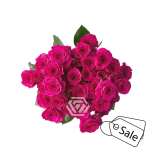 R TR MAGENTA JEWEL 40CM (ALE)