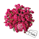 R TR PURPLE IRISCHKA 40CM (ALE)