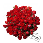 R TR RUBICON 40CM (ALE)