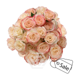 R TR SWEET JEWEL 40CM (ALE)
