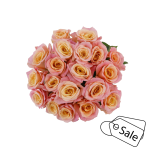 R GR PRECIOUS BELL 70CM (MQ) (ALE)