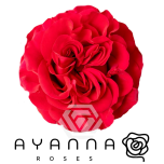 R GR MAYRA HOT PINK 50CM (Ayanna)