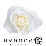 R GR TIBET 50CM (Ayanna)