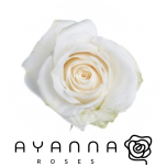 R GR VENDELA 50CM (Ayanna)