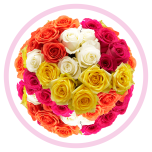 HOLIDAY SPECIAL ASSORTED ROSES 50CM - Emadepäev/Mother´s Day 2026