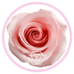 HOLIDAY SPECIAL R BE SWEET 70CM - Emadepäev/Mother´s Day 2026