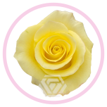 HOLIDAY SPECIAL R CANCUN 60CM - Emadepäev/Mother´s Day 2026