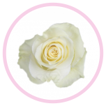 HOLIDAY SPECIAL R MONDIAL 60CM - Emadepäev/Mother´s Day 2026