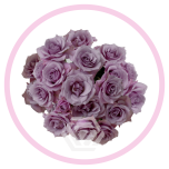 HOLIDAY SPECIAL SPRAY BS SAGITTA 60CM - Emadepäev/Mother´s Day 2026