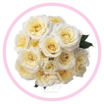 HOLIDAY SPECIAL SPRAY NEW MOON 60CM - Emadepäev/Mother´s Day 2026