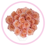 HOLIDAY SPECIAL SPRAY PEACHY PINK JEWEL 50CM - Emadepäev/Mother´s Day 2026