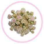 HOLIDAY SPECIAL SPRAY BE TRUE 50CM - Emadepäev/Mother´s Day 2026