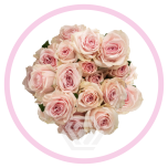 HOLIDAY SPECIAL SPRAY STAR BLUSH 60CM - Emadepäev/Mother´s Day 2026