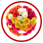 HOLIDAY SPECIAL ASSORTED 40CM - Sõbrapäev/Valentine’s Day 2026