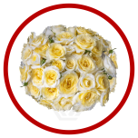 HOLIDAY SPECIAL TR NEW MOON 50CM - Sõbrapäev/Valentine’s Day 2026