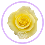 HOLIDAY SPECIAL R CANCUN 60CM - Naistepäev/Women´s Day 2026