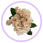 HOLIDAY SPECIAL TR BS CYGNUS 50CM - Naistepäev/Women´s Day 2026