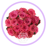 HOLIDAY SPECIAL TR BS SCORPIO 60CM - Naistepäev/Women´s Day 2026