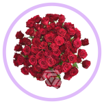 HOLIDAY SPECIAL TR HOT DESIRE 50CM - Naistepäev/Women´s Day 2026