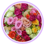 HOLIDAY SPECIAL TR ASSORTED 60CM - Naistepäev/Women´s Day 2026