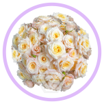 HOLIDAY SPECIAL TR MORNING STAR 50CM - Naistepäev/Women´s Day 2026