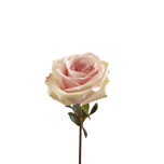 R GR PINKY PROMISE 70CM (MQ)