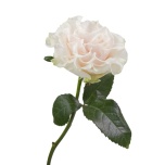 R GR COTTON X-PRESSION 70CM (MQ)