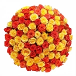 R GR ORANGE/YELLOW MIX 70CM (MQ)