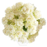 R TR ARTIC FLOW 40CM