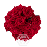 R TR BS RED 40CM