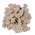 R TR BS VOLANS 40CM