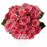 R TR BS BON BON 40CM