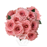 R TR CANDY JEWEL 40CM