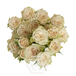 R TR CREAM OF THE CROP JEWEL 40CM