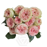 R TR GARDEN BRIDAL JEWEL 50CM