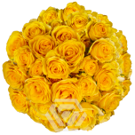 R TR GOLDEN TANGARINE 40CM