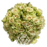 R TR GREEN ROSEVER 40CM