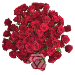 R TR HOT DESIRE 40CM